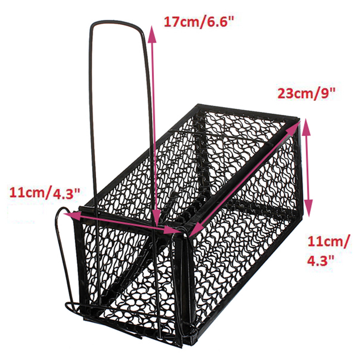 Bait+Chan ... Mouse Humane Live Trap Hamster Cage Mice Rat Control Catch Bait | eBay
