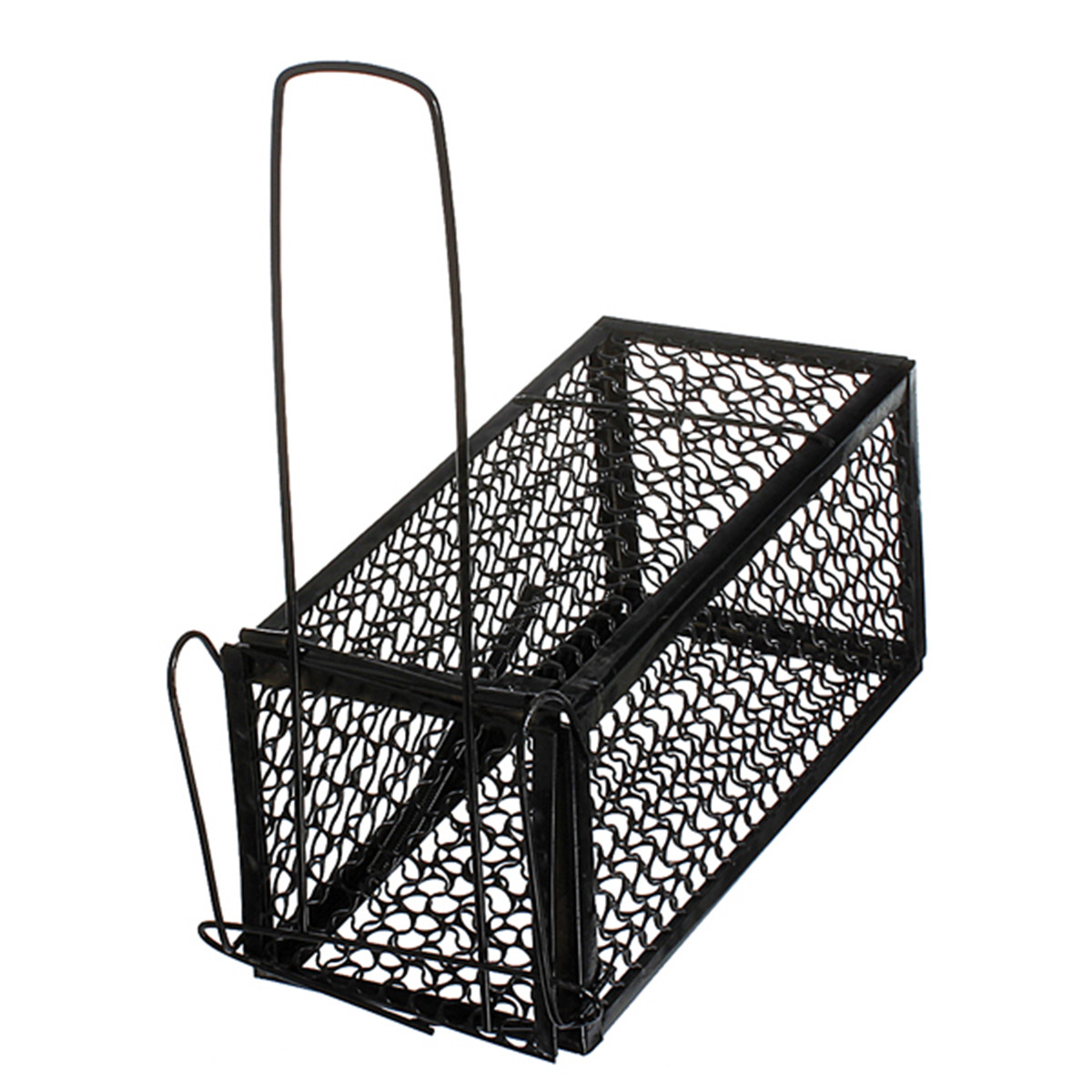 Bait+Chan ... Mouse Humane Live Trap Hamster Cage Mice Rat Control Catch Bait | eBay