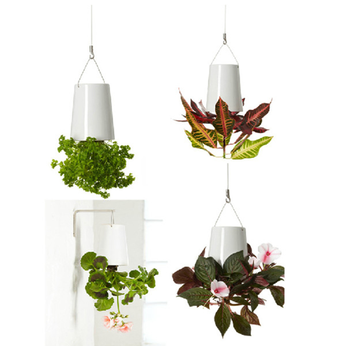 planteur de ciel pot de fleur suspendu 192 l envers plante planteur de ciel pot de fleur suspendu 192 l envers plante