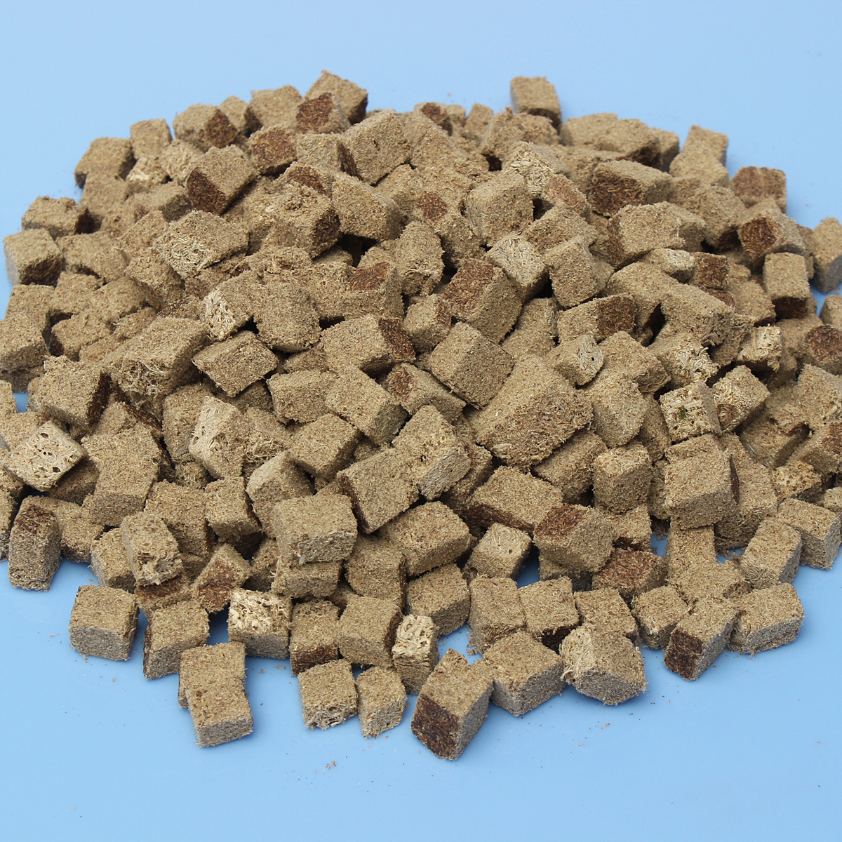 download tubifex worms fish food download tubifex worms fish food