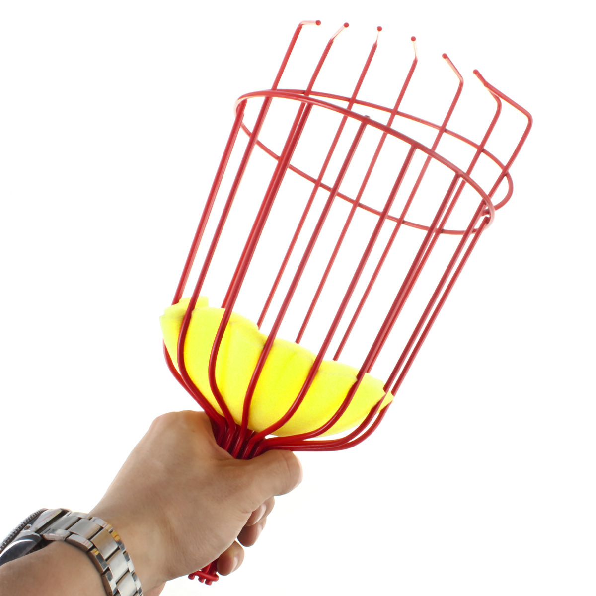 fruit picking fresh fruit basket delivery fruit picking fresh fruit basket delivery