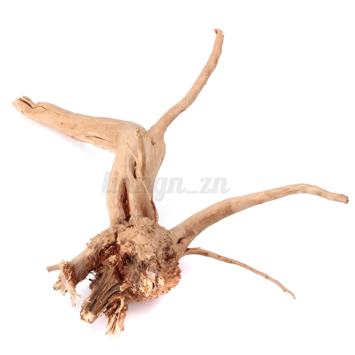 Branche Bois D Coration branche d arbre deco maison design apsip Branche Bois D Coration branche d arbre deco maison design apsip