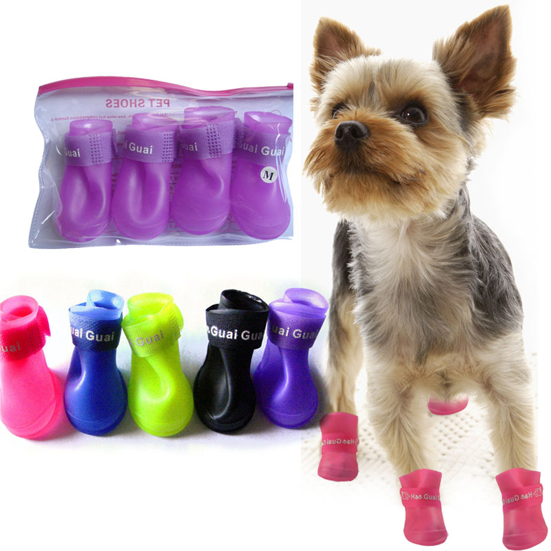 dog water shoes