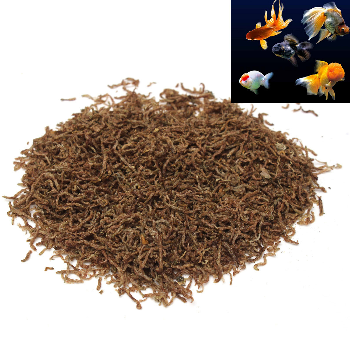 Is Freeze Dried Blood Worm Food Good For Fish Is Freeze Dried Blood Worm Food Good For Fish
