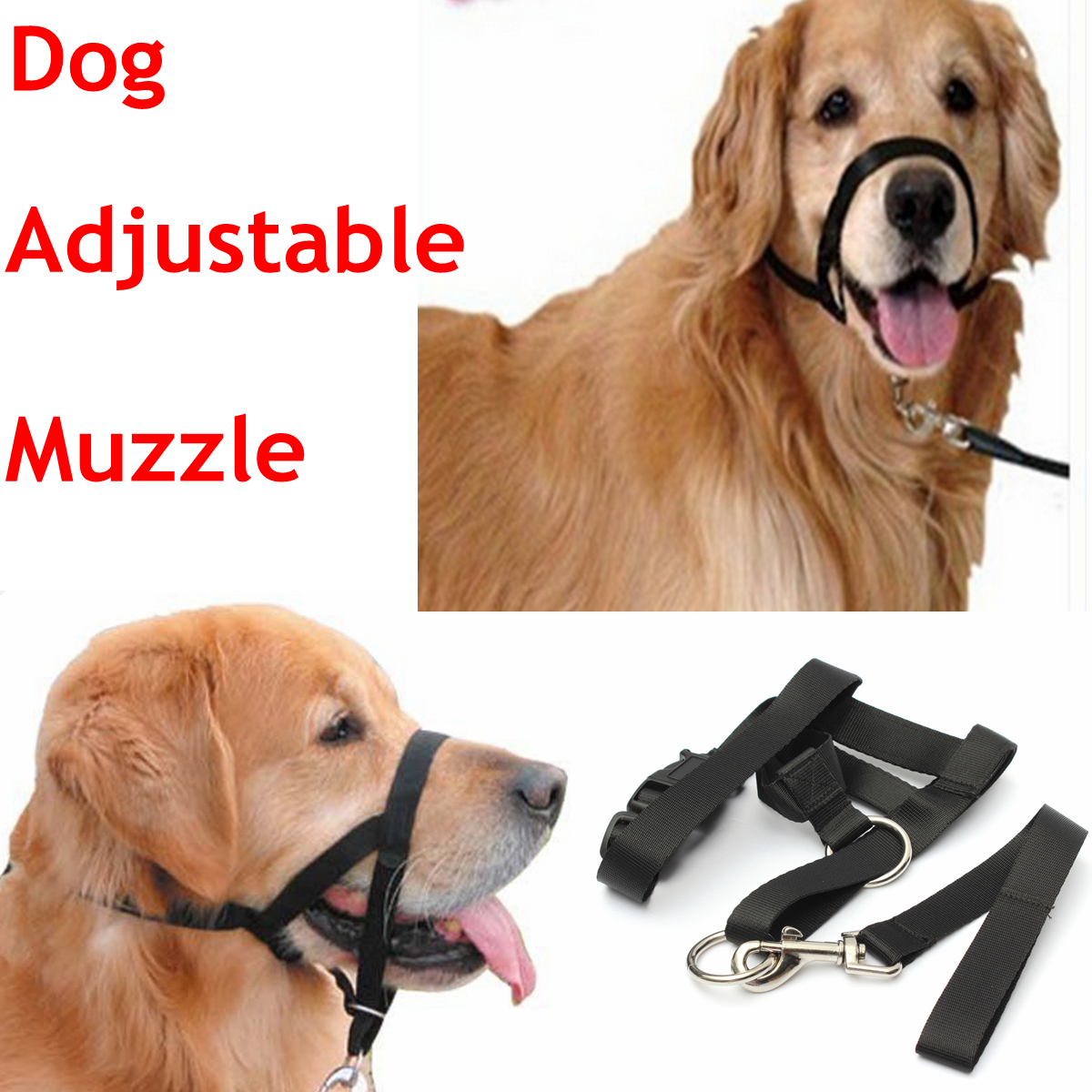 Closing Dog S Mouth When Biting Closing Dog S Mouth When Biting