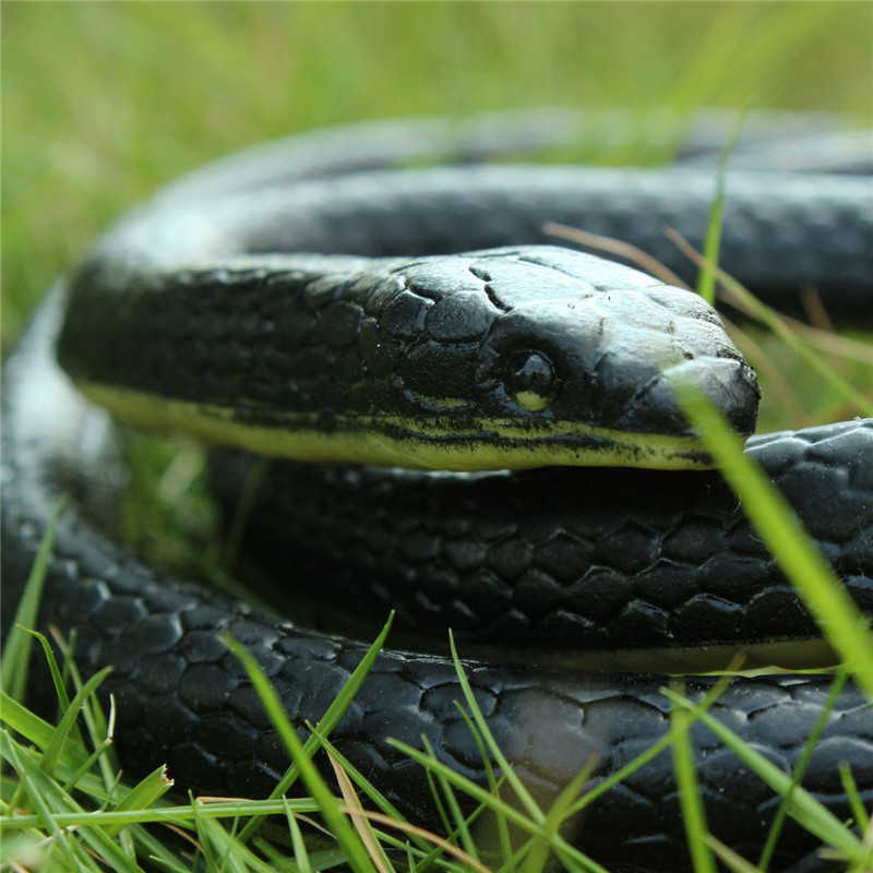 1Pc realistic soft rubber toy snake safari garden prop joke prank halloween ua