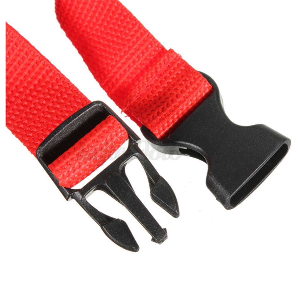 Can You Use A Dog Shock Collar On A Cat Can You Use A Dog Shock Collar On A Cat