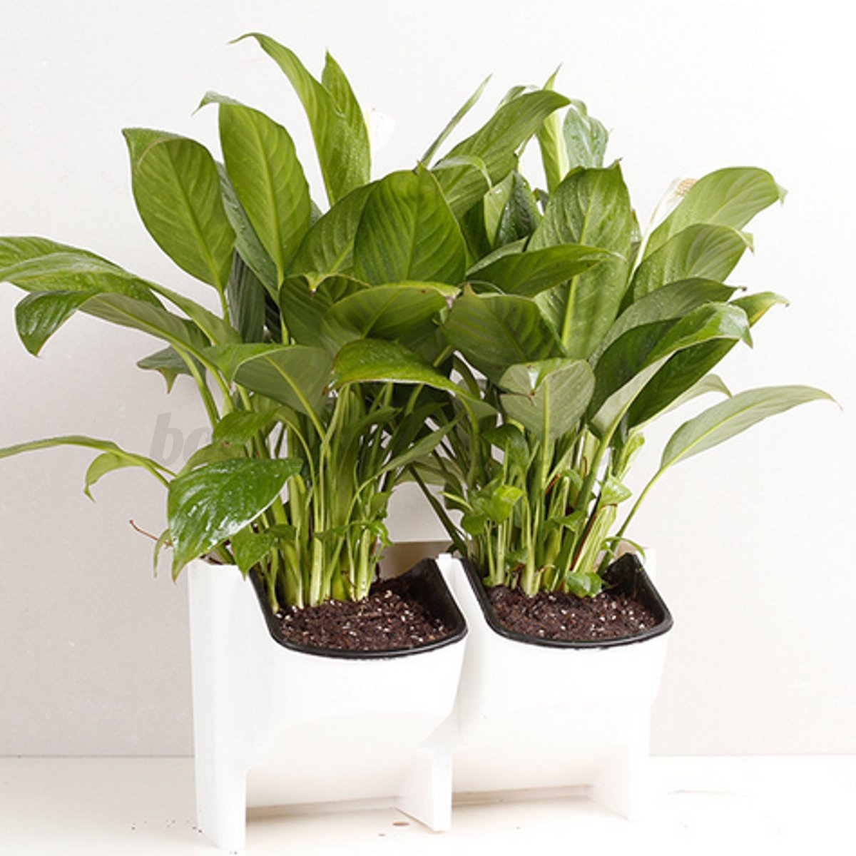 Stackable 2 Pockets Vertical Wall Planter Self Watering Hanging | stackable 2 pocket garden wall planter vertical self Stackable 2 Pockets Vertical Wall Planter Self Watering Hanging | stackable 2 pocket garden wall planter vertical self