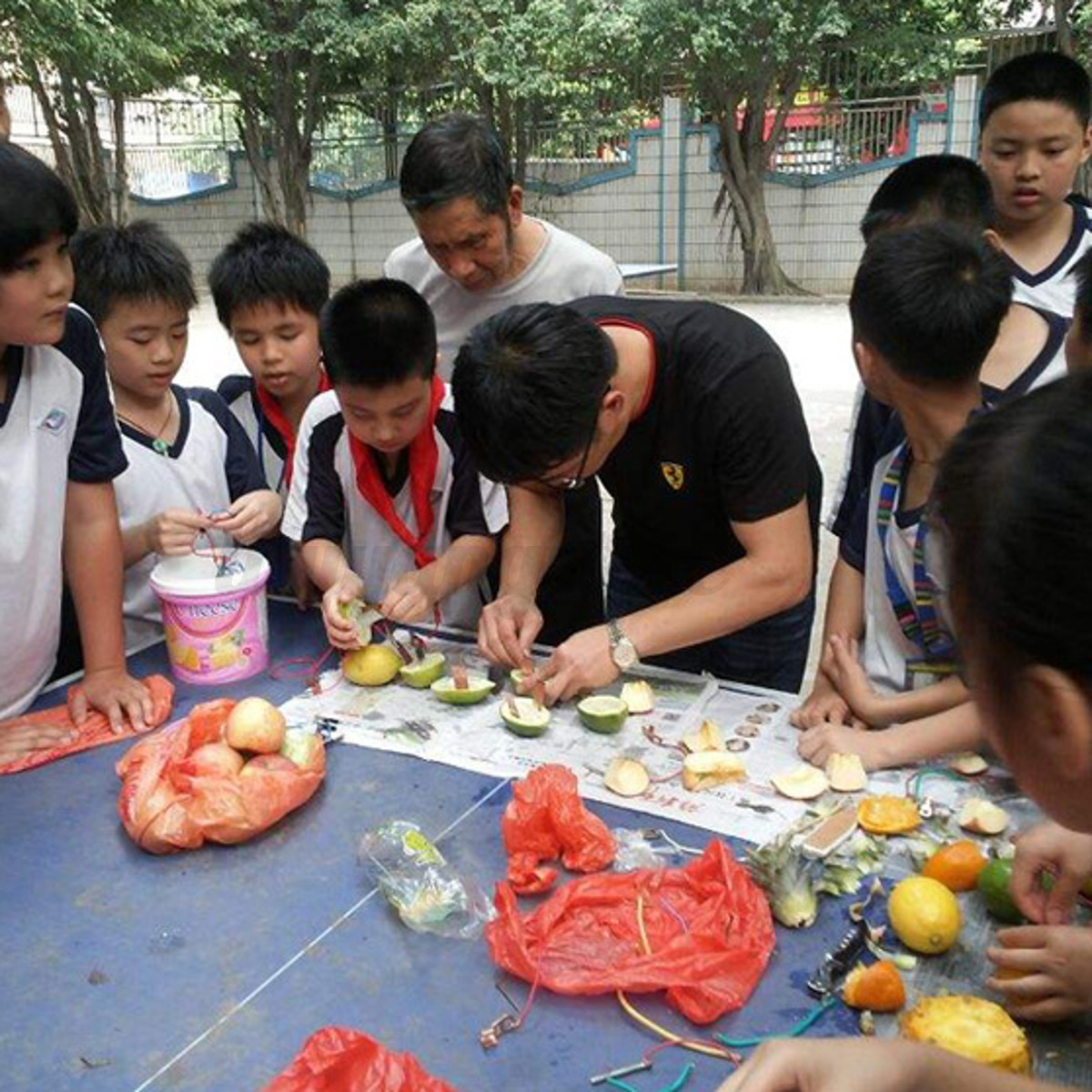 1set Children Bio Energy Science Kit Potato Fruit Supply Electricity Experim HF