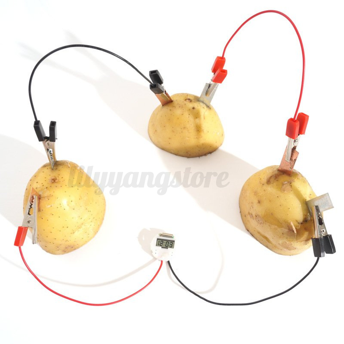 1set Children Bio Energy Science Kit Potato Fruit Supply Electricity Experim HF