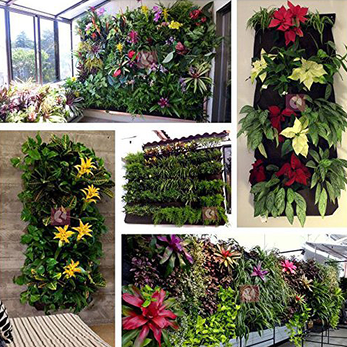Garten Pflanztasche Balkonkasten Blumenkasten Wand Aufhängung ... Garten Pflanztasche Balkonkasten Blumenkasten Wand Aufhängung ...