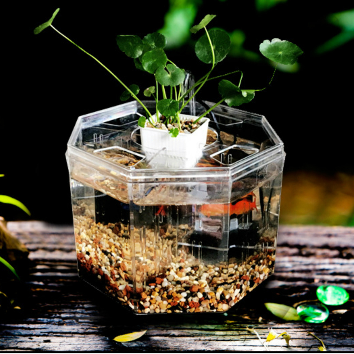 Small Acrylic Betta Aquarium Fish Tank Starter Breeding