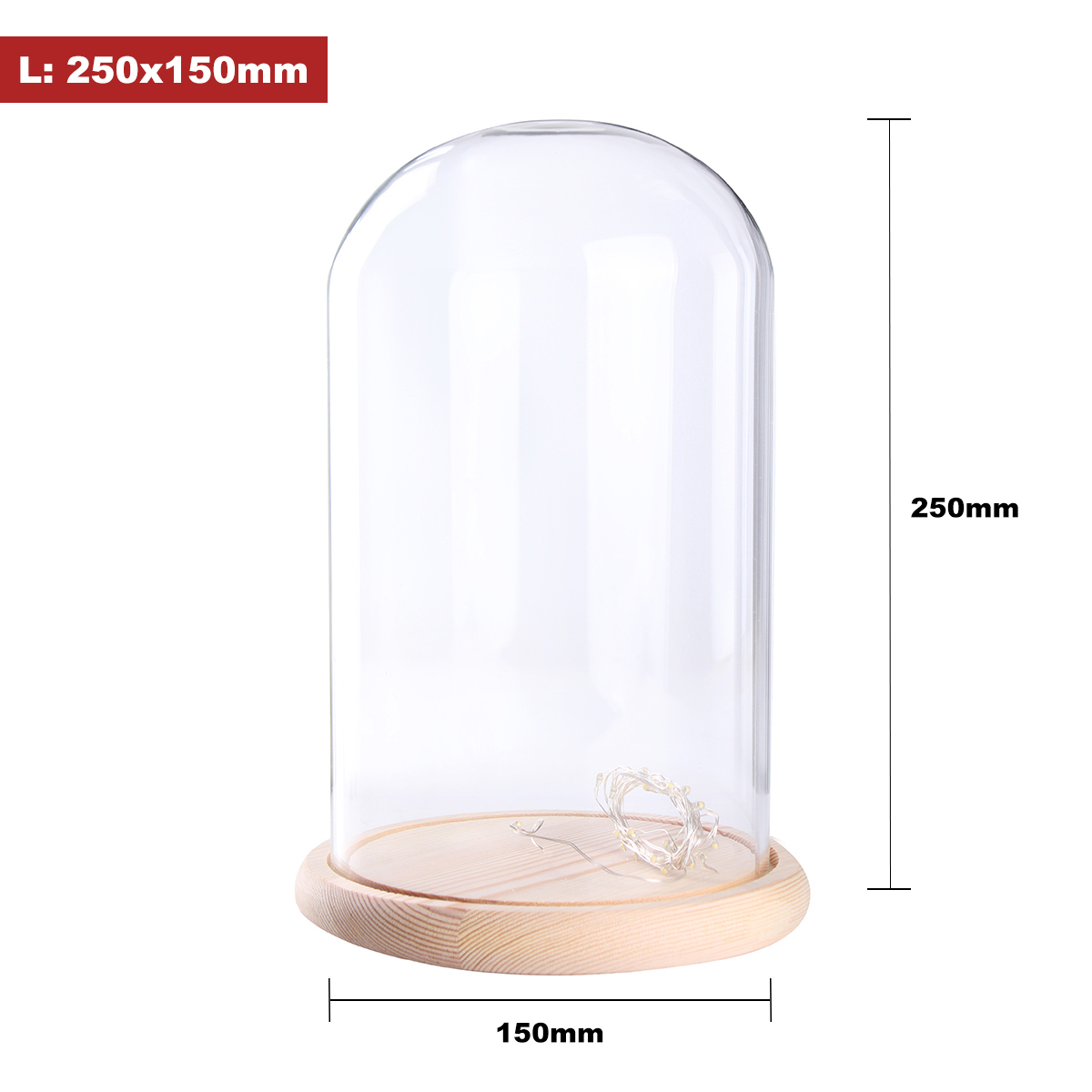 Glass Dome Bell Jar Decorative Cloche Display Wooden Base W Fairy Glass Dome Bell Jar Decorative Cloche Display Wooden