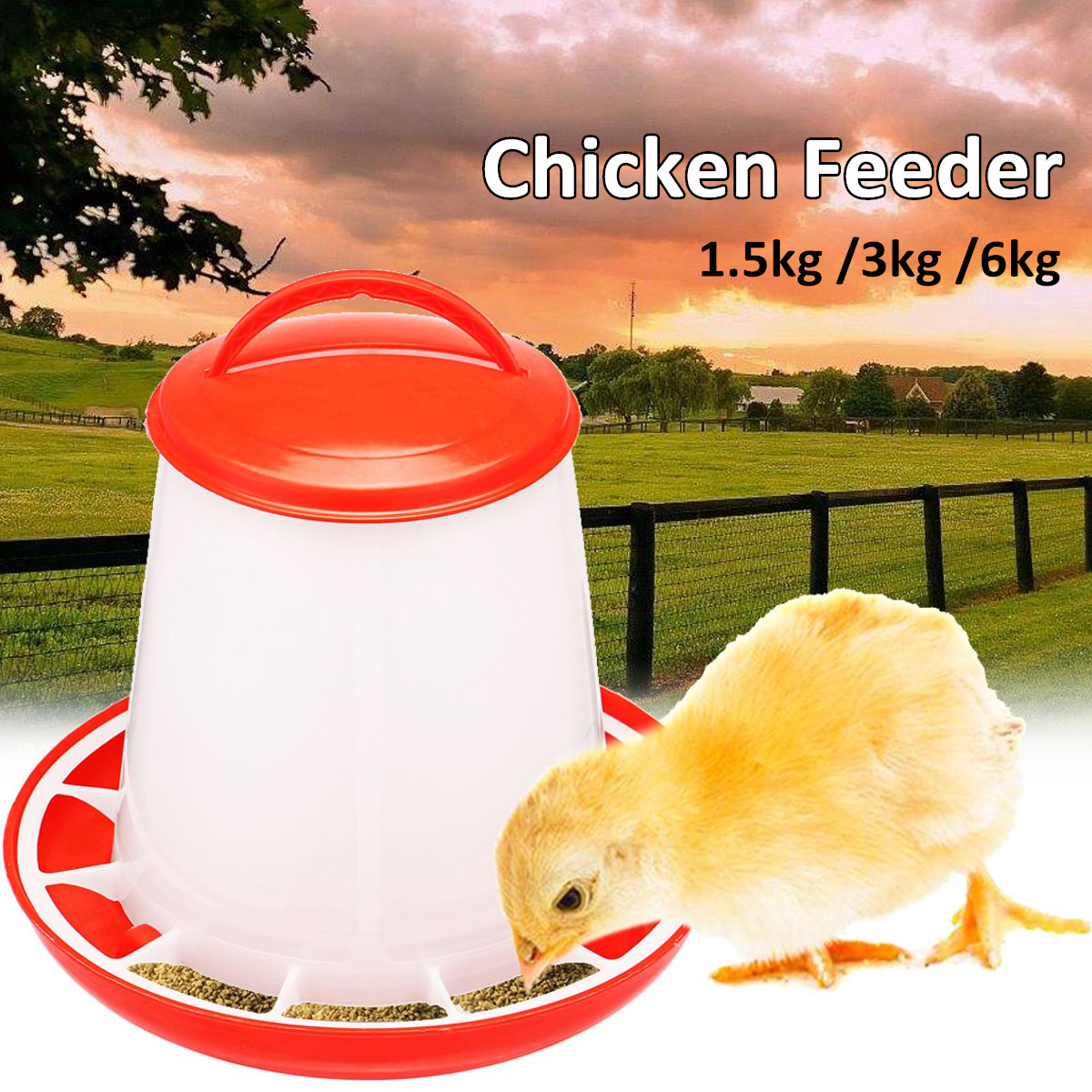 Feeder Drinker Chicken Poultry Chick Hen Quail Bantam Food Water