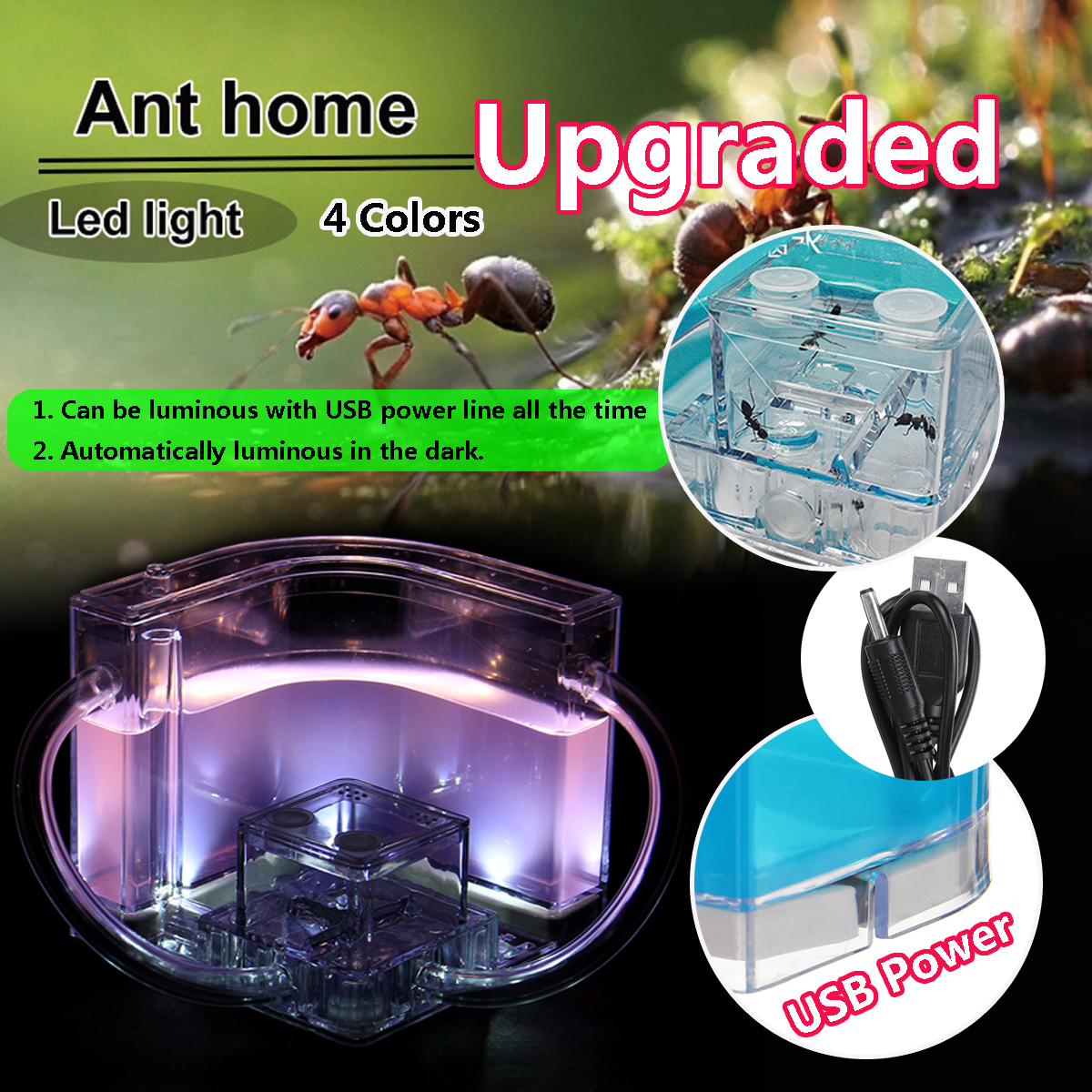 Ants Ant Farm Educational Insect Nest Maze Feeding LIVE Workshop House !