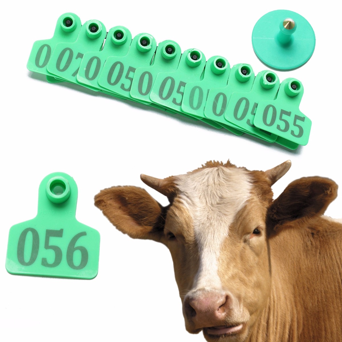 100 pcs Ear Tag Sheep Goat Pig Cattle Cow Farm Animals Livestock Green
