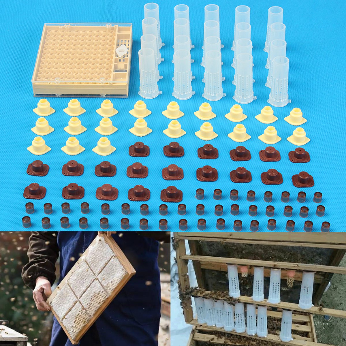 152Pcs Queen Rearing System Cultivating Cage Beekeeping Box Bee Catcher Kit US